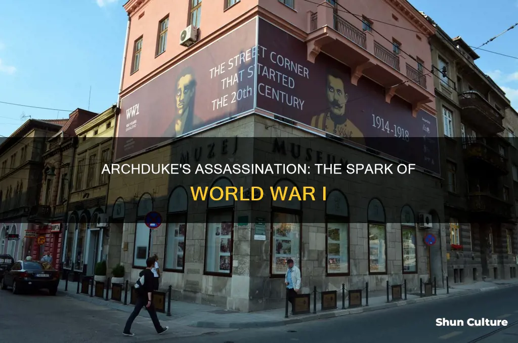 why did they kill archduke franz ferdinand of austria