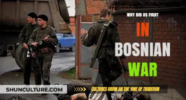 Why the US Intervened in the Bosnian War: Key Reasons