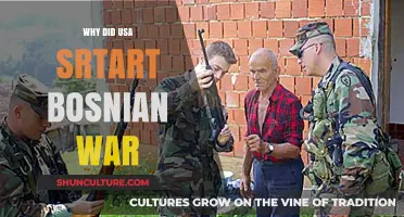 Why the USA Intervened in the Bosnian War: Key Factors