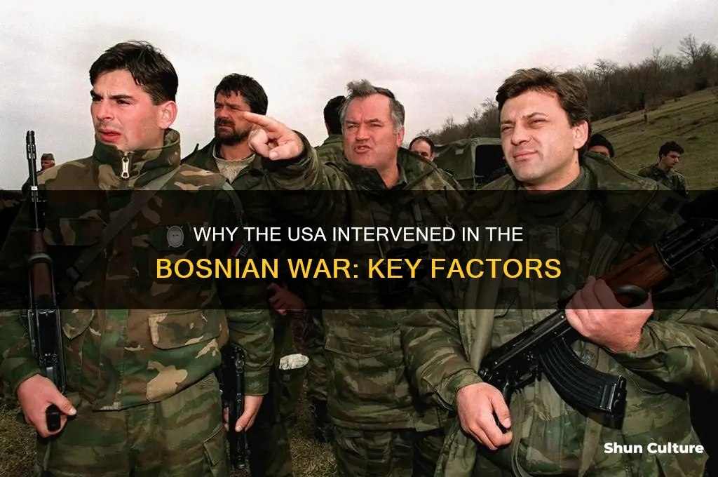 why did usa srtart bosnian war