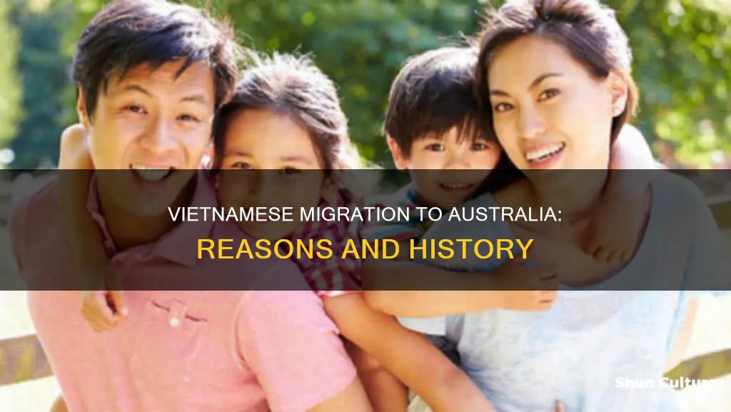 why did vietnamese people migrate to australia