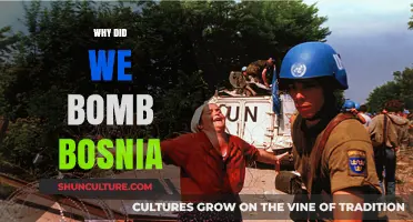 The Bosnia Bombing: Unraveling NATO's Intervention and Its Consequences