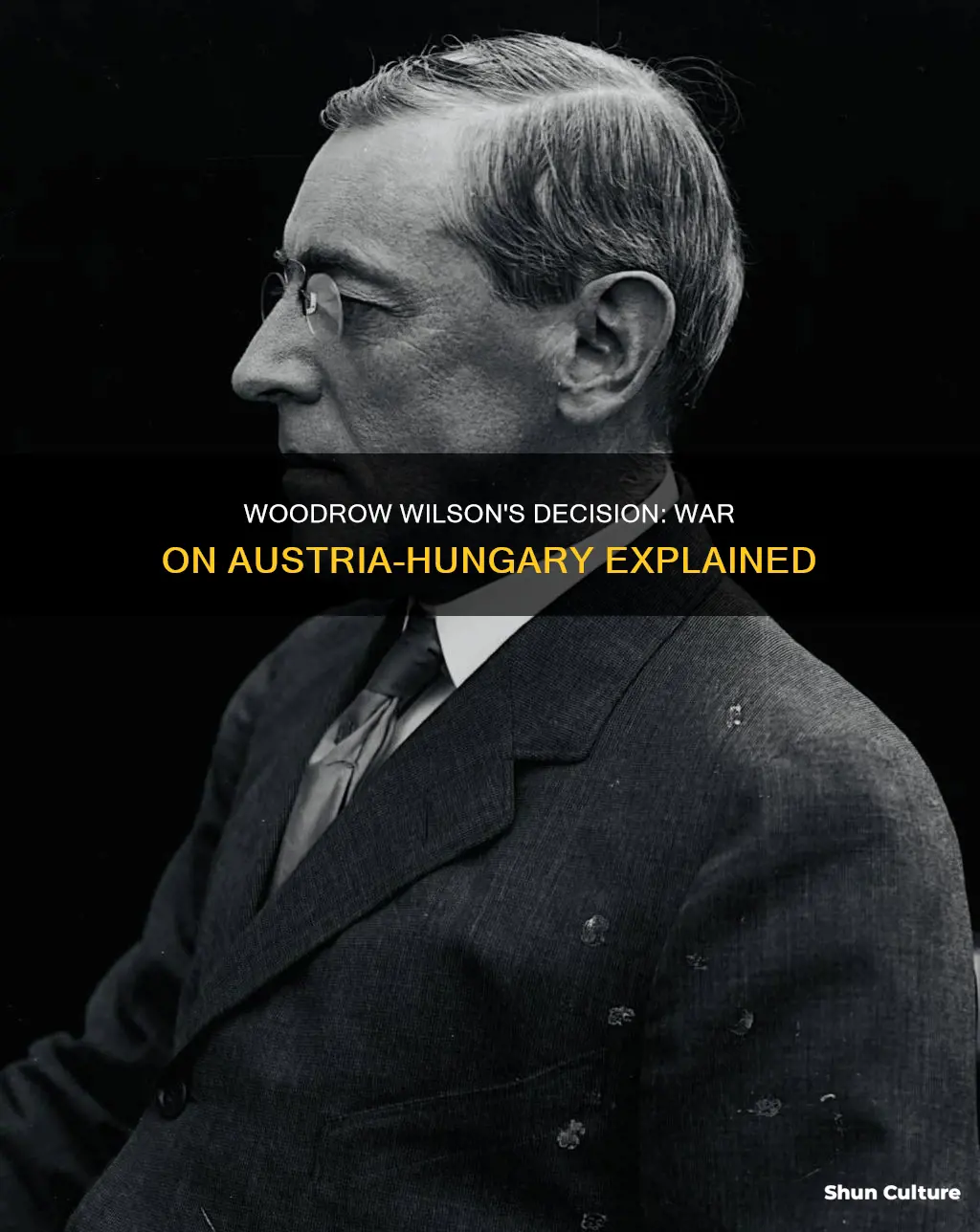 why did woodrow wilson declare war on austria hungary