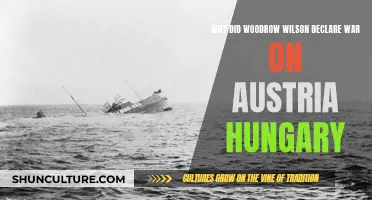 Woodrow Wilson's Decision to Declare War on Austria-Hungary