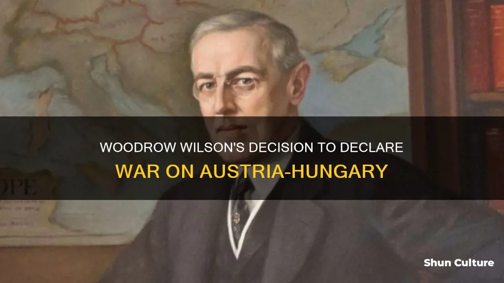 why did woodrow wilson declare war on austria hungary