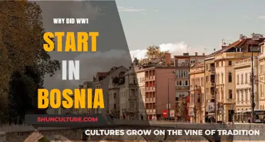 Bosnia's Spark: Unraveling the Origins of World War I