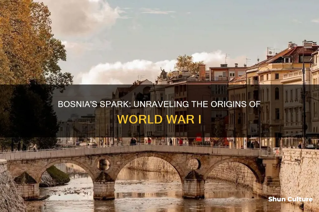 why did ww1 start in bosnia