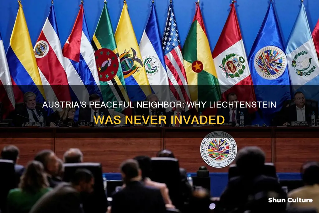 why didn austria invade liechtenstein