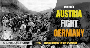 Austria's Non-Confrontation with Germany: Why No Fight?