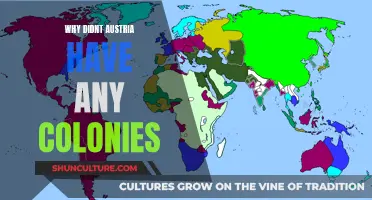 Austria's Lack of Colonial Ambitions: Why No Overseas Territories?