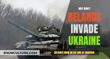 Belarus-Ukraine Conflict: Why Belarus Didn't Invade