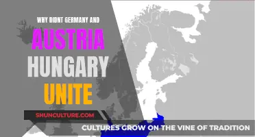 The Missed Opportunity: Why Germany and Austria-Hungary Didn't Unite