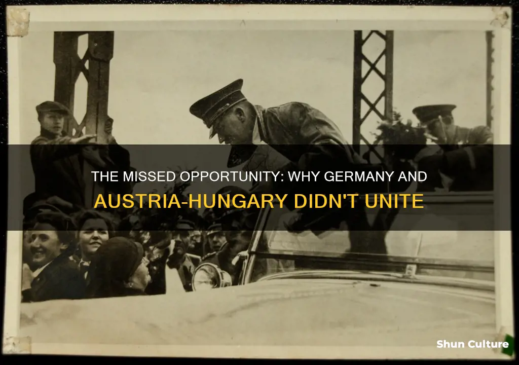 why didnt germany and austria hungary unite