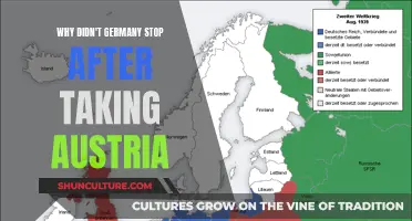 Germany's Unstoppable: Why Austria Wasn't Enough