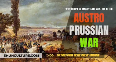 Austria's Fate: Why Didn't Germany Annex?