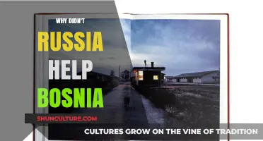 Russia's Silence: Why Moscow Abandoned Bosnia in Its Darkest Hour