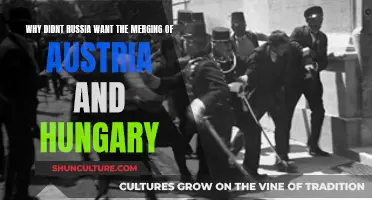 Russia's Opposition to Austria-Hungary: Geopolitical Rivalries
