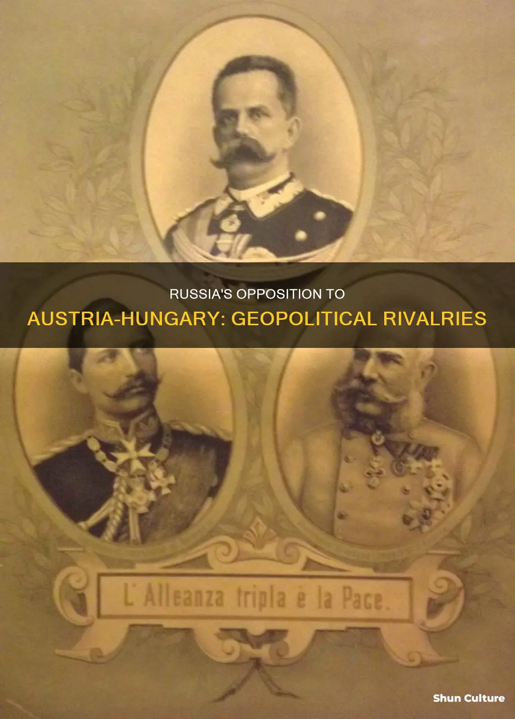 why didnt russia want the merging of austria and hungary