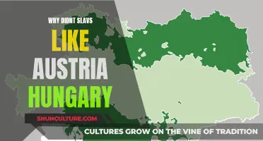 Slavs' Resistance Against Austria-Hungary: Reasons and Repercussions
