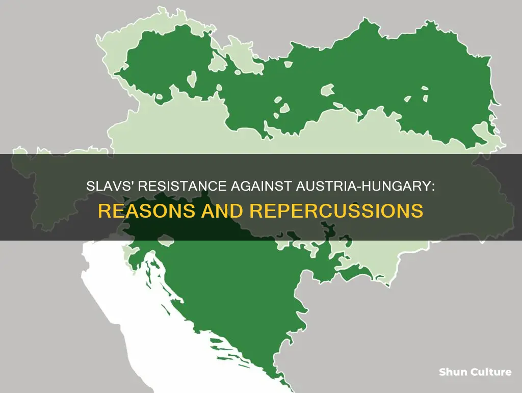 why didnt slavs like austria hungary
