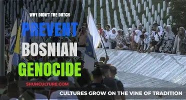Dutch Failure to Prevent Bosnian Genocide: A Historical Analysis