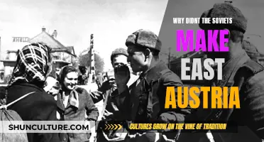 Austria's Soviet Non-Invasion: Why It Was Spared