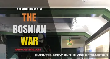 UN's Failure to Halt the Bosnian War: A Critical Analysis