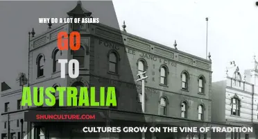 Exploring the Rising Trend of Asians Migrating to Australia