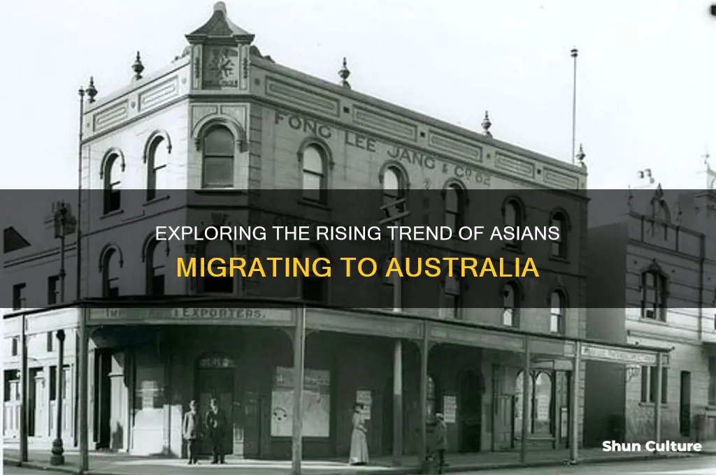 why do a lot of asians go to australia
