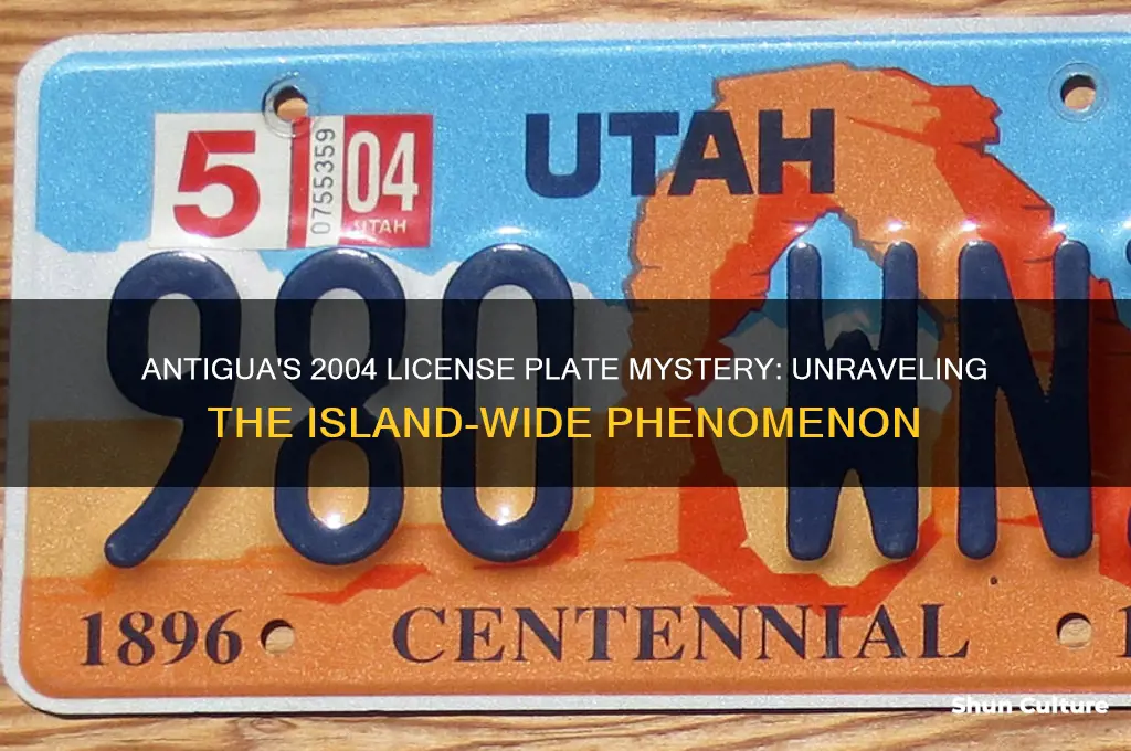 why do all antigua cars have 2004 license plates