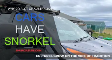 Snorkels on Aussie Cars: Function or Fashion?