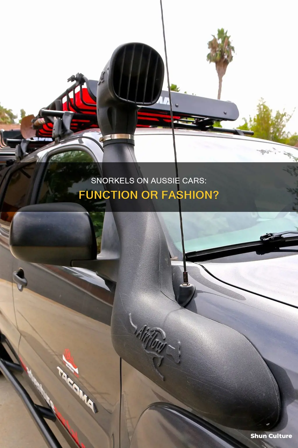 why do alot of australian cars have snorkels