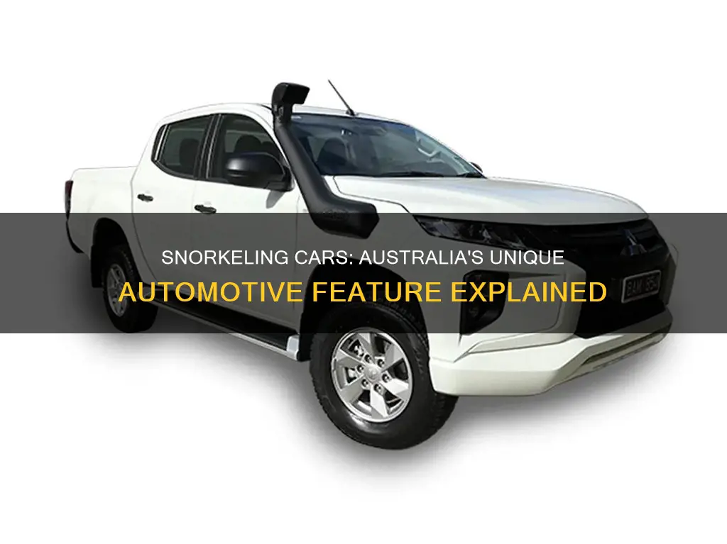 why do australian cars have snorkles