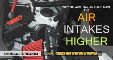 Air Intakes: Australian Cars' Elevated Design