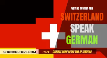 The German Language's Presence in Austria and Switzerland