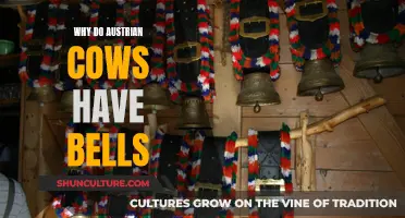 Austrian Cow Bells: Ancient Tradition, Cultural Significance
