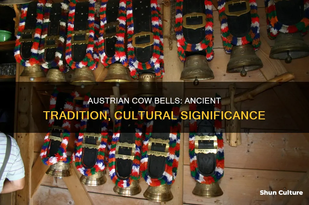 why do austrian cows have bells