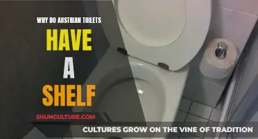 Austrian Toilets: The Mystery of the Shelf