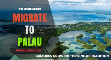 Exploring the Reasons Behind Bangladeshis' Migration to Palau