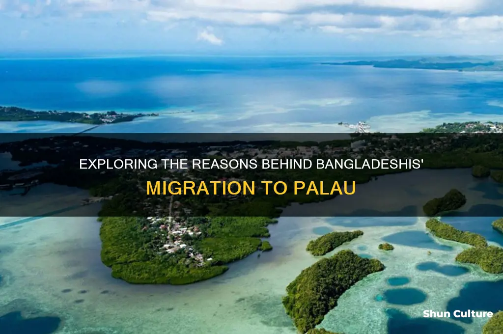 why do bangladesh migrate to palau