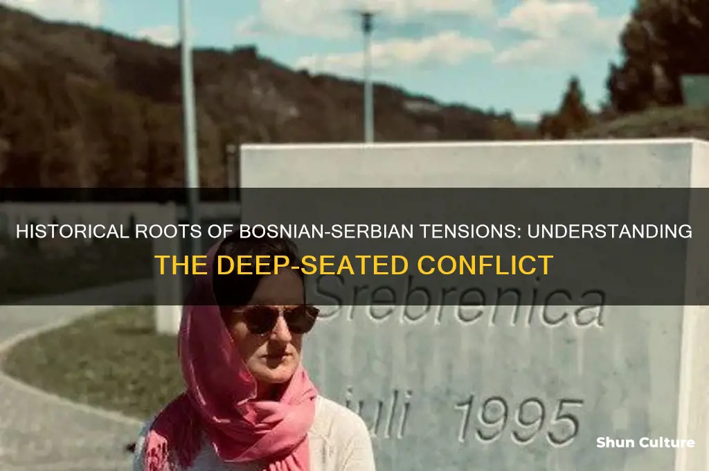 why do bosnian and serbian hate each other