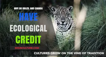 Brazil and Canada's Ecological Credit: Unlocking Environmental Leadership Secrets