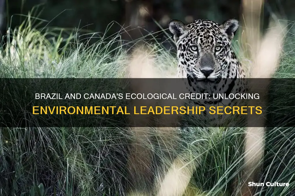 why do brazil and canada have ecological credit