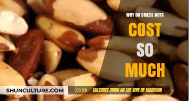 Why Brazil Nuts Are Pricier Than You Think: Uncovering the Costs