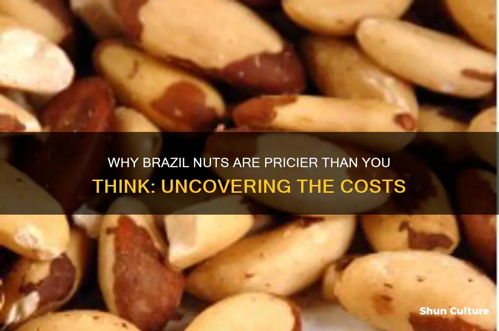 why do brazil nuts cost so much