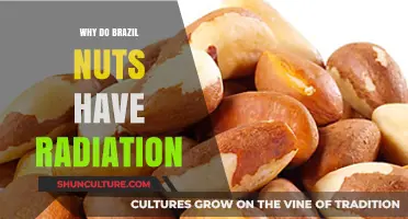 Brazil Nuts and Radiation: Uncovering the Natural Glow Within