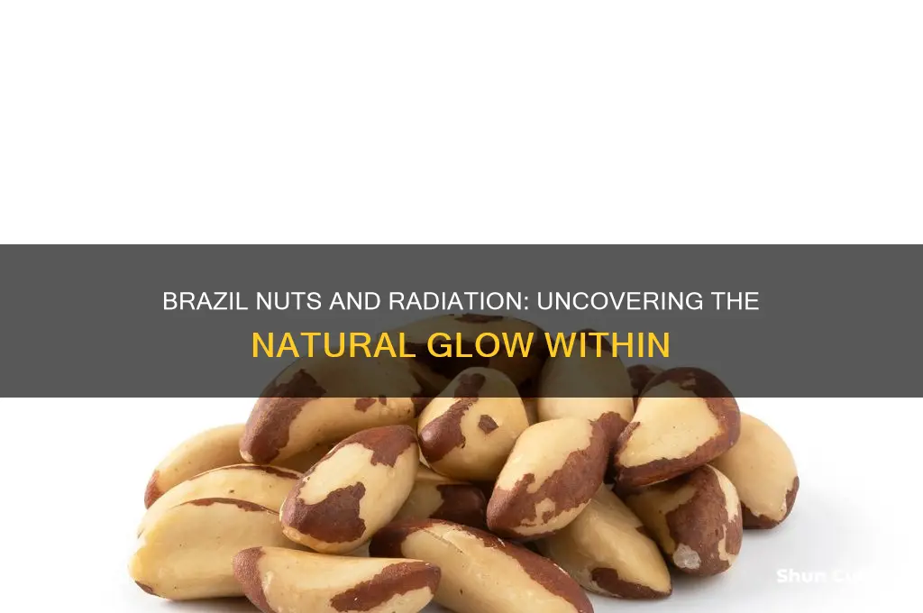 why do brazil nuts have radiation