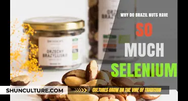 Brazil Nuts' Selenium Secret: Unlocking Nature's Powerful Mineral Boost
