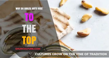 Why Brazil Nuts Float to the Top: Unraveling the Science