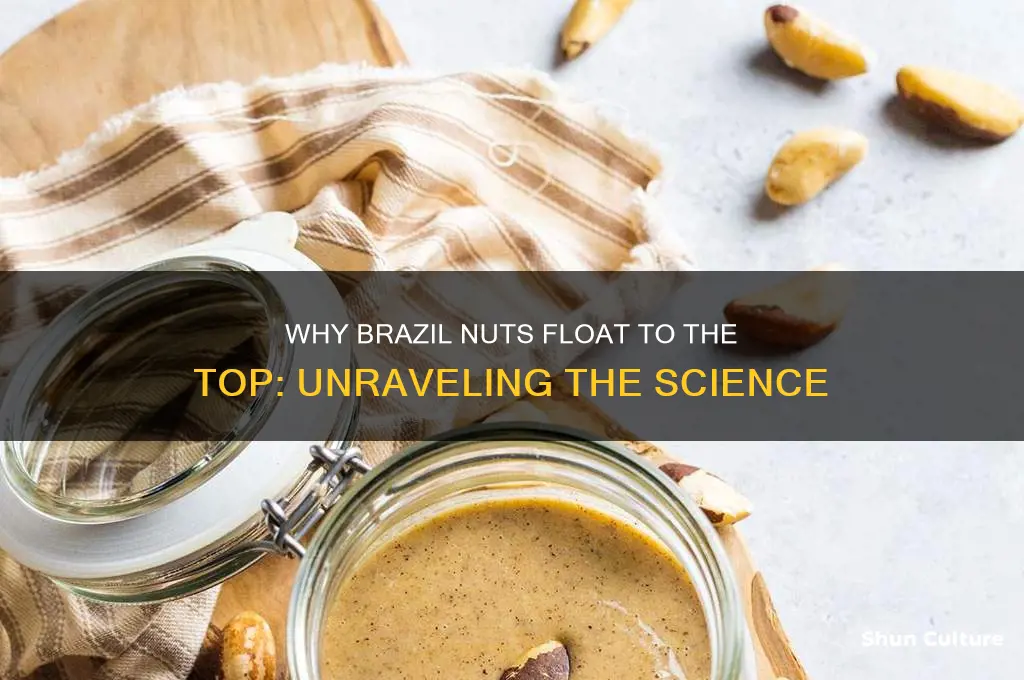 why do brazil nuts rise to the top